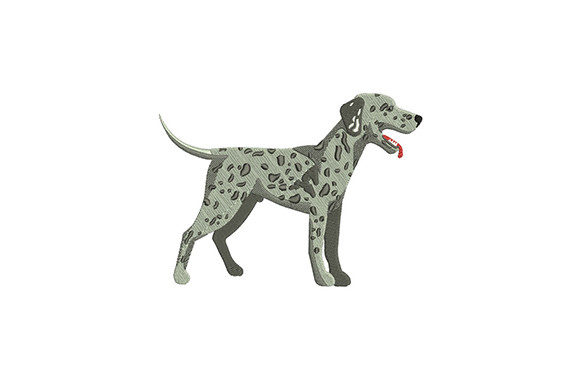 Dalmatian