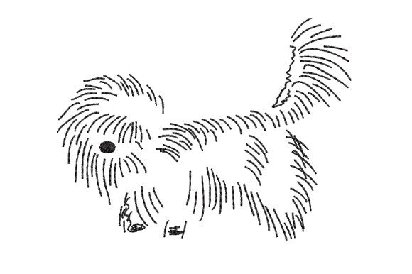 Funny Shaggy Dog-lapdog