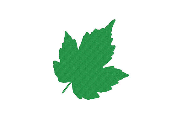 Green Maple Leaf