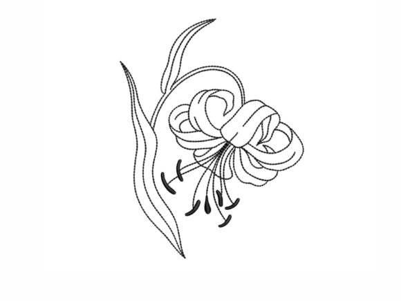 Lily Outline