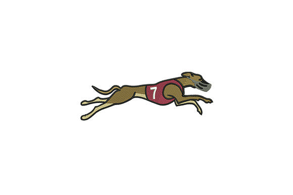 Running Greyhound